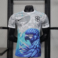 Maillot concept Brésil Oiseau 2025/26