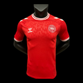 Danemark Maillot Domicile 24/25 – Version Player