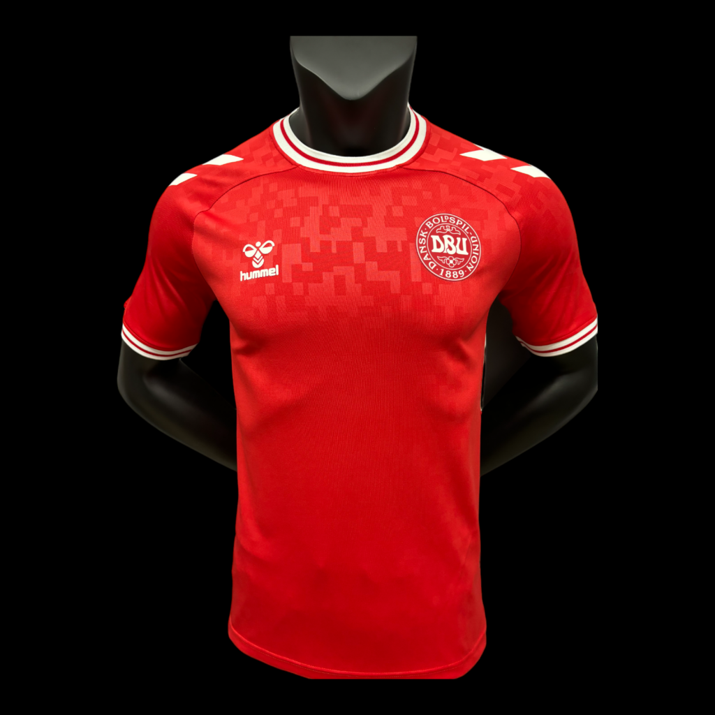 Danemark Maillot Domicile 24/25 – Version Player