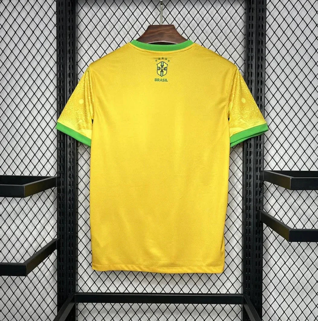 Brésil 2024 Concept