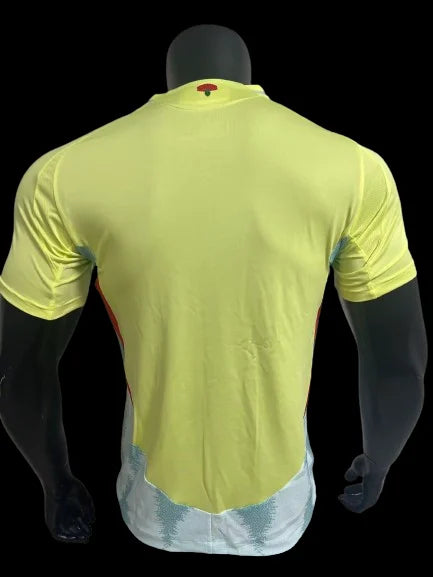 Espagne Maillot Extérieur 24/25 – Version Player