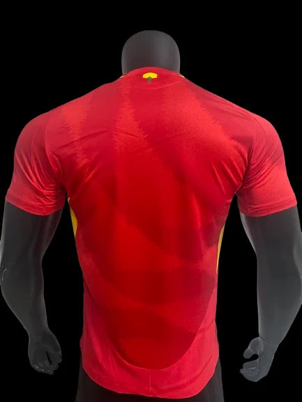 Espagne Maillot Domicile 24/25 – Version Player